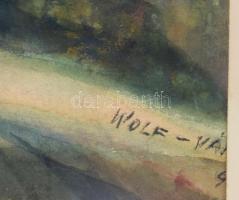 Wolf (...) jelzéssel: Táj. Akvarell, papír. Üvegezett, sérült fakeretben. 43×29,5 cm