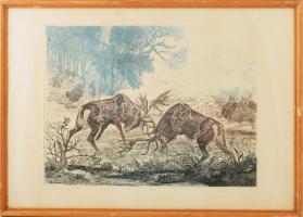 Tuka László (1924-2007): Őszi párviadal (szarvasok). Színes rézkarc, papír, jelzett, számozott (84/1...