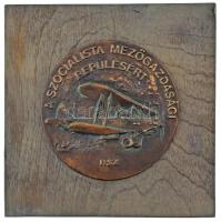 1987. "A Szocialista Mezőgazdasági Repülésért" bronz emlékplakett, akasztós fa talpon. Szign: RSZ (96mm) T:XF kis patina