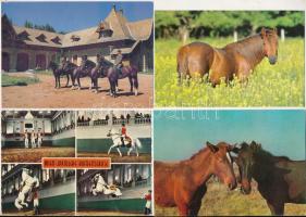 LOVAK - 37 db modern képeslap és fotó / HORSES - 37 modern postcards and photoes