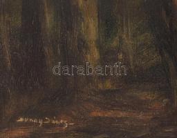 Aknay János jelzéssel: Erdei út. Olaj, vászon, sérült, 50x75 cm
