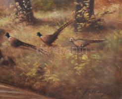 Olvashatatlan jelzéssel: Fácánok az erdőben. Olaj, vászon. Sérült. 60x80 cm