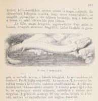 Képes természetrajz az ifjuság számára. 48 tábla színes rajzzal és 426 szövegképpel. I. Az ember (Ho...