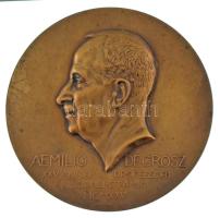 Kisfaludi Stróbl Zsigmond (1884-1975) 1925. "Grósz Emil" egyoldalas bronz plakett. "AEMILIO DE GRÓSZ XXV ANNOS PROFESSORI DISCIPULI ET AMICI MCMXXV" (80mm) T:AU patina HP 4914.