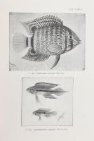 Behyna Miklós: Az akvárium élővilága, berendezése és gondozása. Bp., 1938, Királyi Magyar Természett...