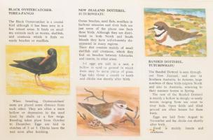 Aquatic birds of New Zeealand. Gyűjtői album, teljes