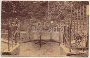 Zajzon, Zaizon-fürdő, Zajzonfürdő, Zizin; Béla-forrás (jódos). St. K. kiadása 254. / spa, mineral water spring source (fa)