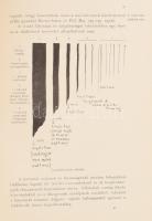 Crane, Walter: Vonal és forma. Fordította: Mihalik Gyula
Bp. 1910. Lampel R., 255 p., megviselt pap...