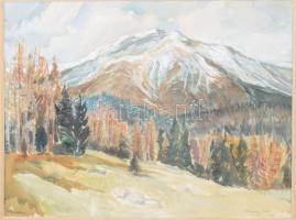 Udvary Pál (1900-1987): Tátrafüred. Akvarell, papír, jelzett, üvegezett fakeretben, 37x48 cm