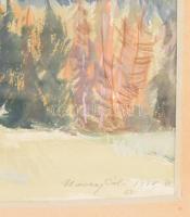 Udvary Pál (1900-1987): Tátrafüred. Akvarell, papír, jelzett, üvegezett fakeretben, 37x48 cm