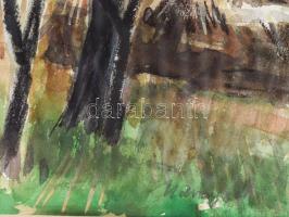 Udvary Pál (1900-1987): Badacsony. Akvarell, papír, jelzett, üvegezett sérült fakeretben, 30x45 cm