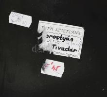 Tóth Szvetlana (1949-): Női portré. Tűzzománc, fém alapon, jelzett, 35x35 cm