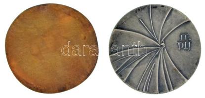 DN "Társadalmi munkáért" egyoldalas, öntött bronz emlékérem (71mm) + 1968. "Országos ...