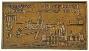 1962. &quot;25 / Barátság Nemzetközi Kőolajvezeték 1962&quot; kétoldalas bronz plakett (78x136mm) T:XF