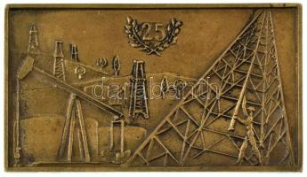 1962. "25 / Barátság Nemzetközi Kőolajvezeték 1962" kétoldalas bronz plakett (78x136mm) T:...