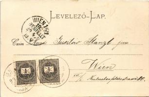 1899 (Vorläufer) Trencsén, Trencín; vár. Gansel Lipót 25. / castle