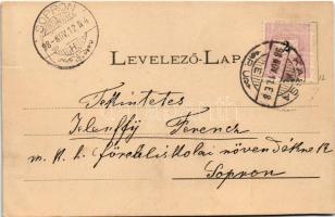 1898 (Vorläufer) Szádelő, Zádiel; Vízesés, Cukor sisak, Tornai várrom / waterfall, rock, Turniansky ...