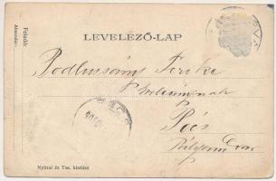 1905 Léva, Levice; vasútállomás / railway station (fa)