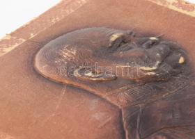 Ferenc József dombornyomott karton portréja, kopott, 21x17 cm