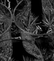 Ólomkristály vizespohár szett. 6 darab, jelzés nélkül, hámozott mintával, hibátlan, m: 13 cm