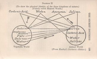 Blavatsky, Helena Petrovna - Hillard, Katharine (szerk.): 
The Secret Doctrine. A Synthesis of Scie...