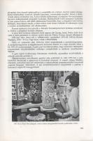 Grofcsik János - Reichard Ernő: 
A magyar finomkerámiaipar története.
Budapest, 1973. Finomkerámia...