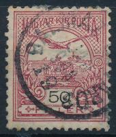 1904 Turul 50f barnáskármin színben, 4-es vízjelállással (34.000)