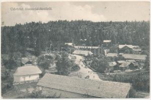 1908 Homoródfürdő, Homoród-fürdő, Baile Homorod; (fl)