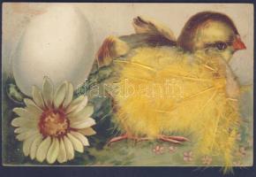 Easter chicken with real feathers litho