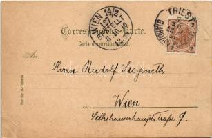 1896 (Vorläufer!!!) Trieste, Trieszt; Hotel de la Ville, Chiesa dei Greci, Palazzo Carciotti, Molo S...