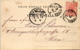 1901 Bucharest, Bukarest, Bucuresti, Bucuresci; Legatiunea Austro-Ungara / Osztrák-Magyar követség /...