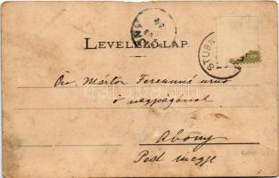 1903 Stubnyafürdő, Túróchévíz, Stubnianske Teplice, Turcianske Teplice; Fő utca, Stransky Jakab üzle...