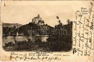 1901 Trakostyán, Trakostjan b. Pettau (Ptuj), Trakoscan (Bednja); vár / Schloss / castle (EM)