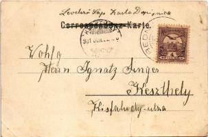 1901 Trakostyán, Trakostjan b. Pettau (Ptuj), Trakoscan (Bednja); vár / Schloss / castle (EM)