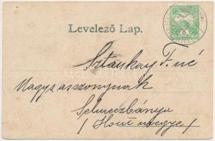 1912 Vulkán, Zsilyvajdejvulkán, Jiu-Vaidei-Vulcan, Vulcan; Szénosztályozó és kötélpálya állomás / co...