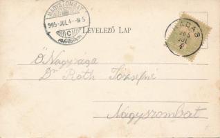 1905 Pozsonynádas, Nádas, Trstín; Windischgrätz herceg kastélya, Fő tér és templom, üzlet. Fischer H...