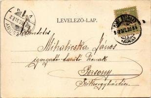 1902 Nagyszombat, Tyrnau, Trnava; Ferenc József tér, Városi torony, Szentháromság szobor, piac, Stei...