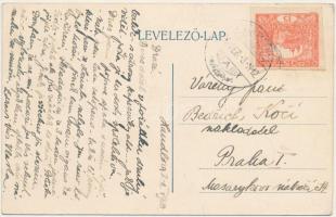 1920 Nyitrabánya, Handlová; Gyógyszertár és szövetkezeti üzlet / pharmacy and cooperative shop