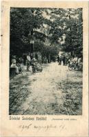 1906 Szobránc-fürdő, Kúpele Sobrance; Szerelmes erdei sétány. Boross Zsigmond kiadása /romantic forest promenade (r)