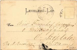 Nyitra, Nitra; Braun Vilmos szálloda és kávéház (Lakner utóda). Huszár István kiadása / hotel and ca...