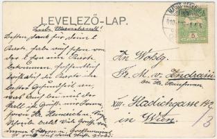 1910 Marosvásárhely, Targu Mures; látkép. Révész Béla kiadása / general view (fl)