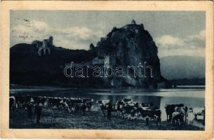 1930 Dévény, Theben a. d. Donau, Devín (Pozsony, Bratislava); Dévényi vár, tehénitatás / Devínsky hrad / castle ruins, cow watering (EK)