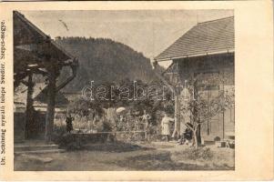 1907 Svedlér, Schwedler, Svedlár (Szepes, Zips); Dr. Schöntag nyaralótelepe / holiday resort, villa (vágott / cut)
