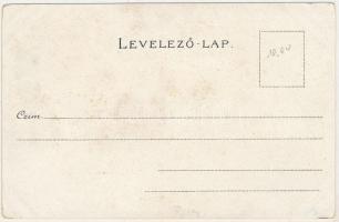 Nagyszeben, Hermannstadt, Sibiu; Ludwig Michaelis Art Nouveau, floral, litho (EK)