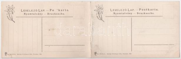 Rózsahegy, Liptó-Rózsahegy, Ruzomberok; látkép, vasútállomás, zsinagóga. 2-részes kihajtható panorám...