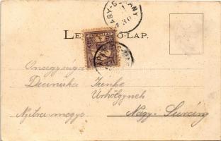 1901 Aranyosmarót, Zlaté Moravce; Hosszú utca. Zlinszky felvétele, Brunczlik I. kiadása / street vie...