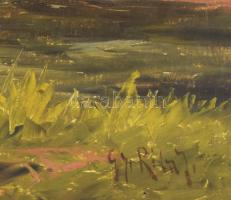 Gy. Riba János (1905-1973): Tóparti táj. Olaj, vászon, jelzett, keretben 70x80 cm Kis repedéshálóval