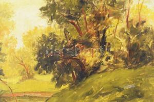 Gy. Riba János (1905-1973): Tóparti táj. Olaj, vászon, jelzett, keretben 70x80 cm Kis repedéshálóval