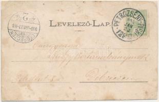 1908 Petrozsény, Petroseni, Petrosani; Római katolikus templom és iskola, Evangélikus templom, Szt. ...