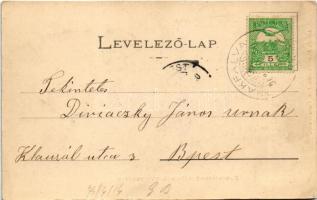 1903 Gölnicbánya, Göllnitz, Gelnica; Gyáralja nyaralótelep. Matz Gusztáv kiadása / holiday resort, v...